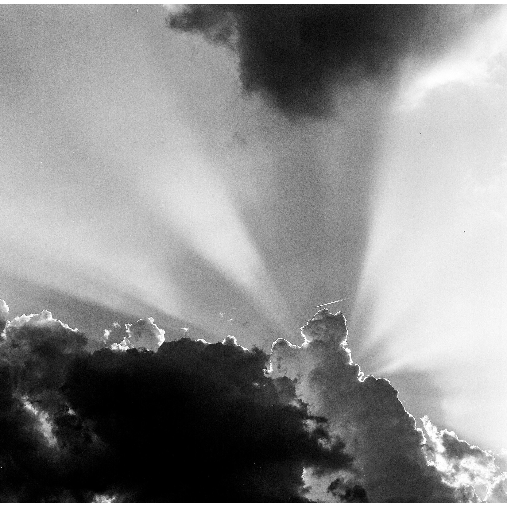 Rayz | Andres Quezada