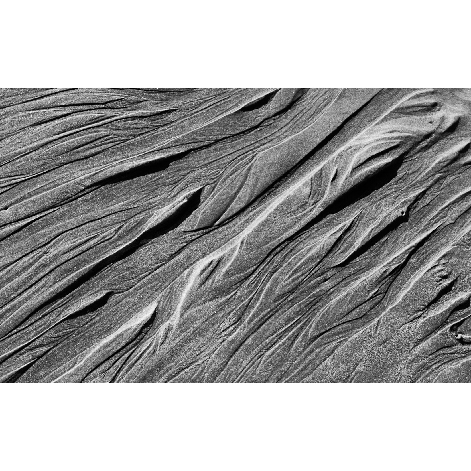 Spaghettification, 2026 | Wesley Scott