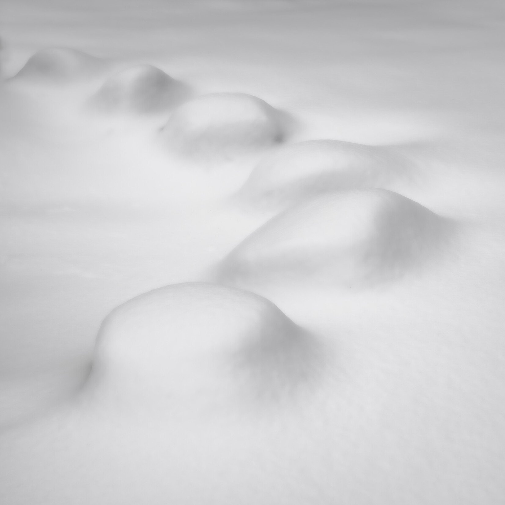 Intimate landscape, 2023 | Christer Björkman