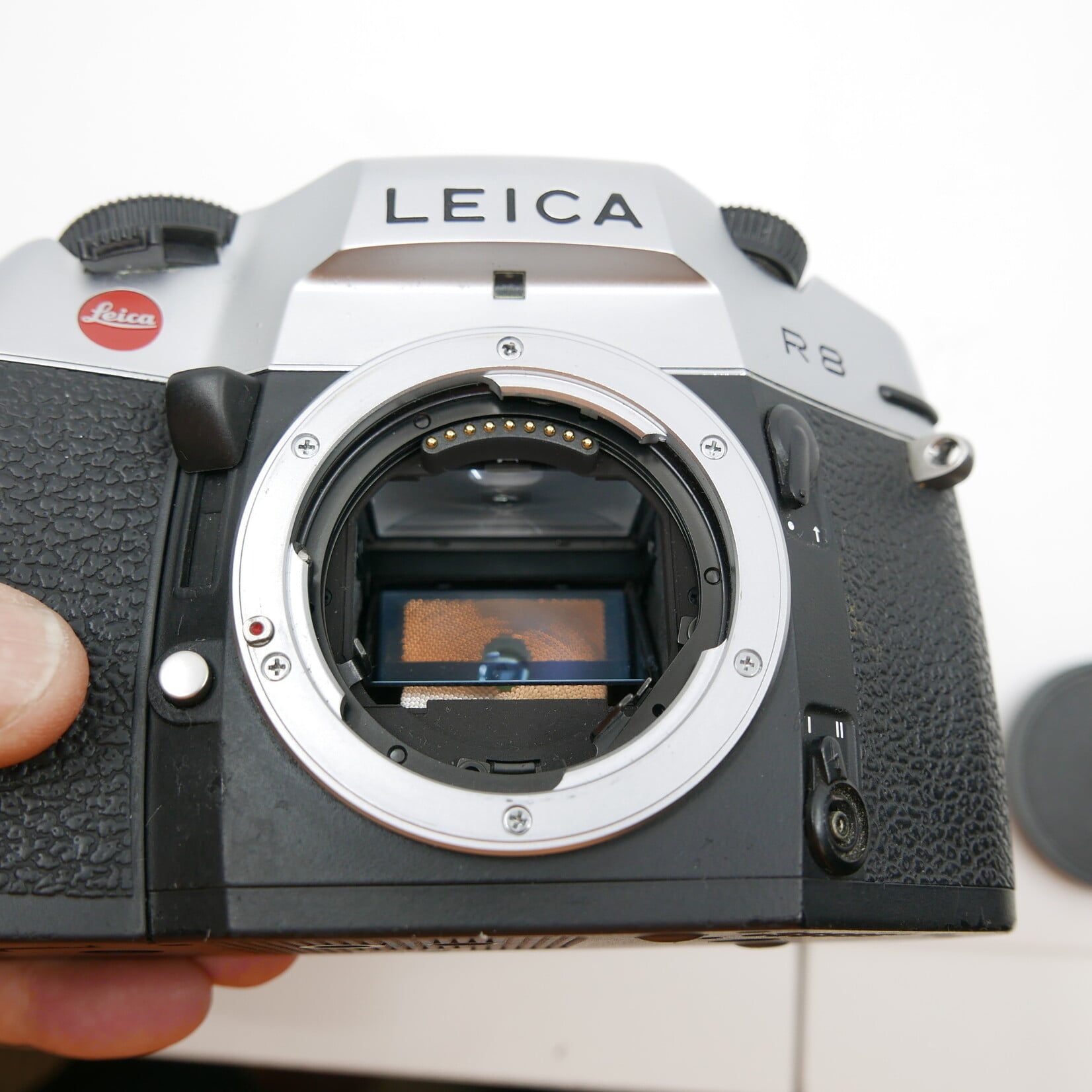 Leica Leica R8 Body (Used)