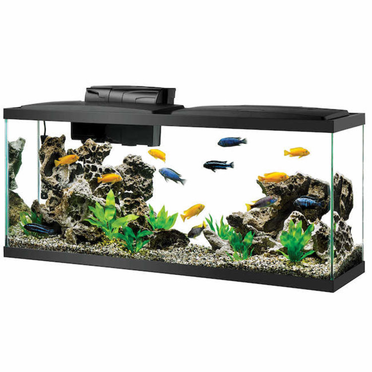 LED Aquarium Kit 55 Black/Clear AquaWorld