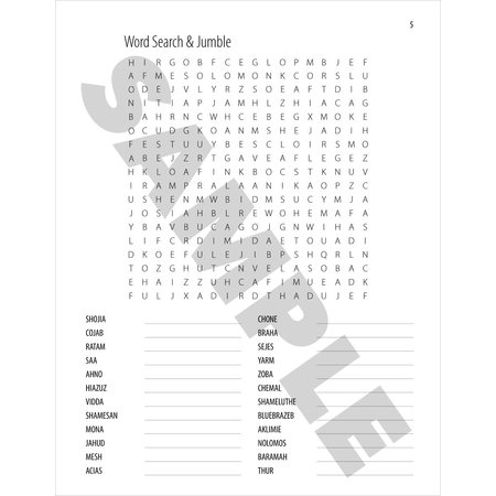 Bible Word Puzzles Vol 2