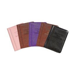 Standard Bible Cover- English