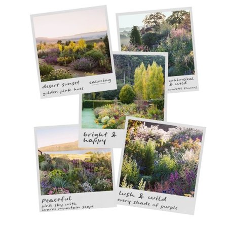 Happier To Give Wild Garden Collection - Comfort 3pk Magnets