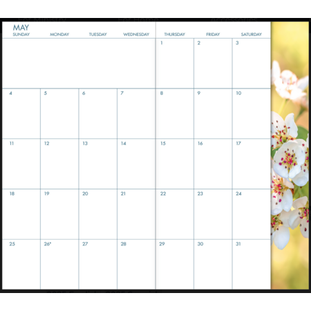 2025 Madzay Pocket Calendar
