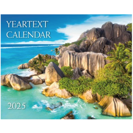 2025 Madzay Wall Calendar