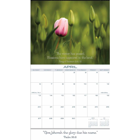 2026 Madzay Wall Calendar