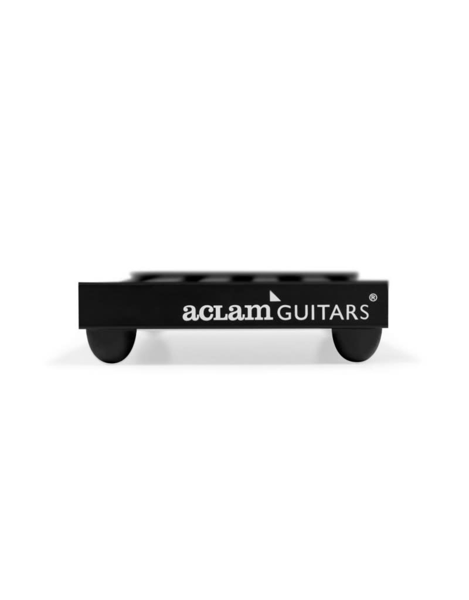 日本公式代理店 Aclam Guitars Smart Track XS1 ケース付き