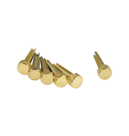 D'Andrea Tone Pins Solid Brass Bridge Pins 6 Pack