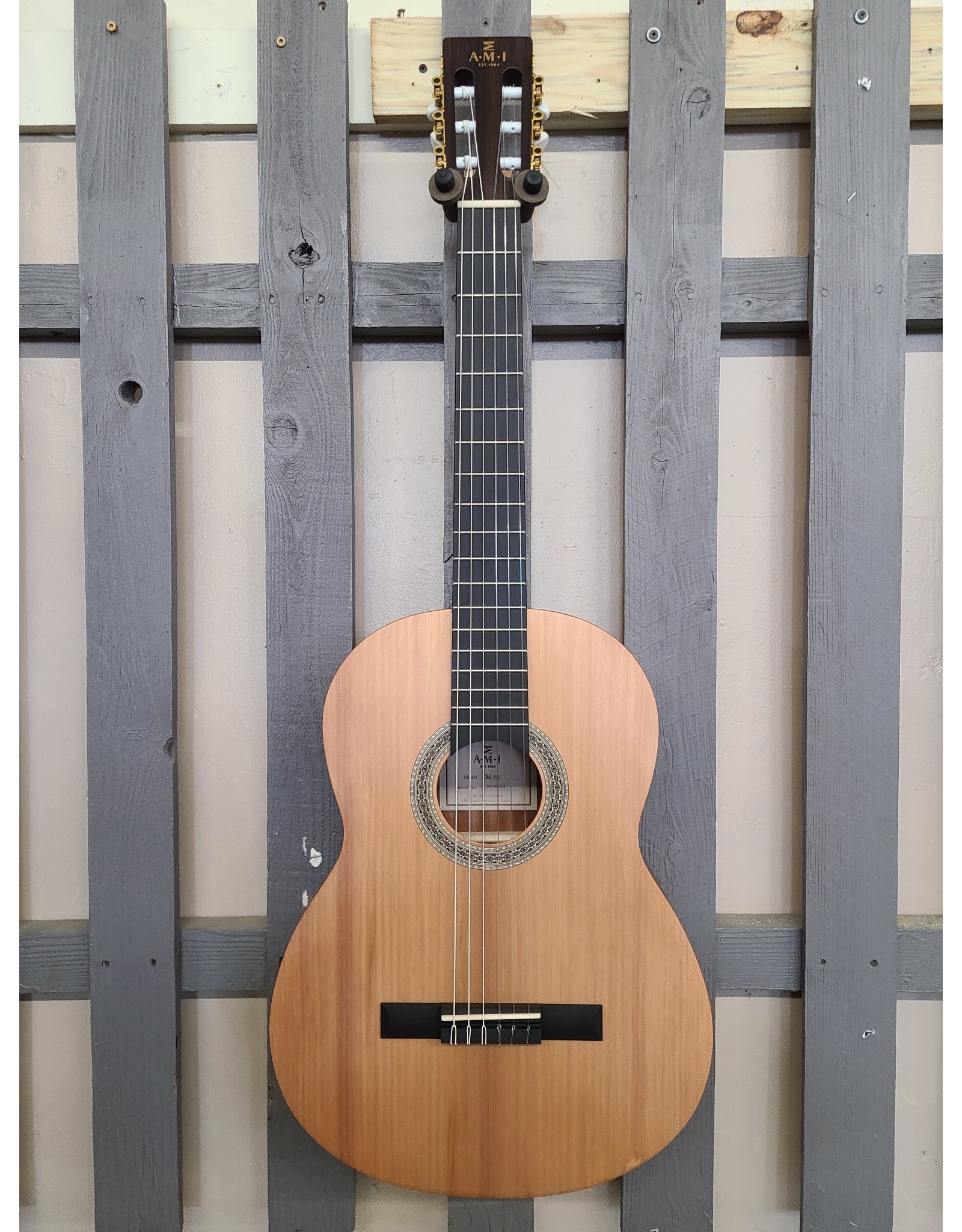 AMI AMI CM-ST Nylon String Acoustic Guitar