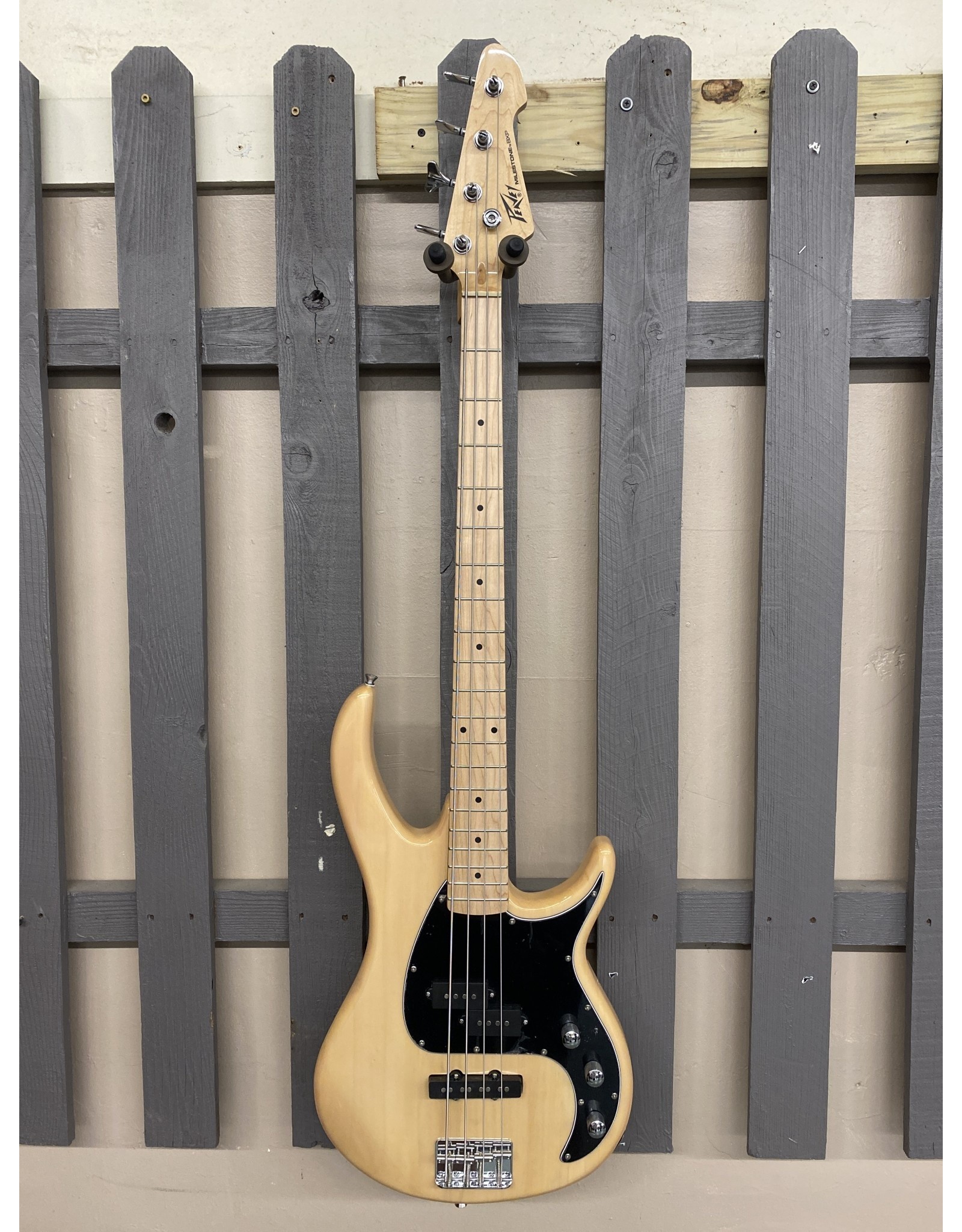 peavey milestone 12 string