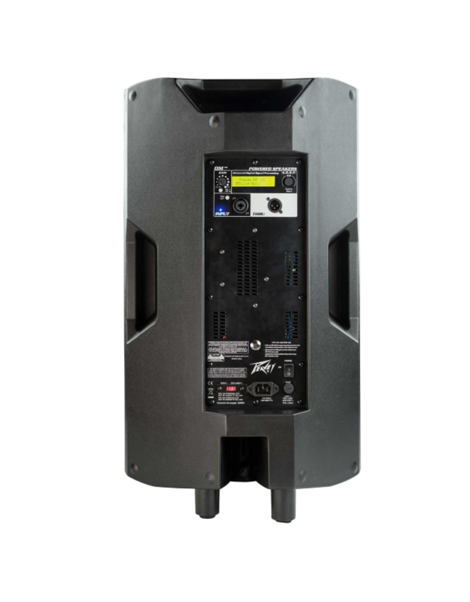 Peavey Dark Matter™ DM™ 115 Powered PA Loudspeaker
