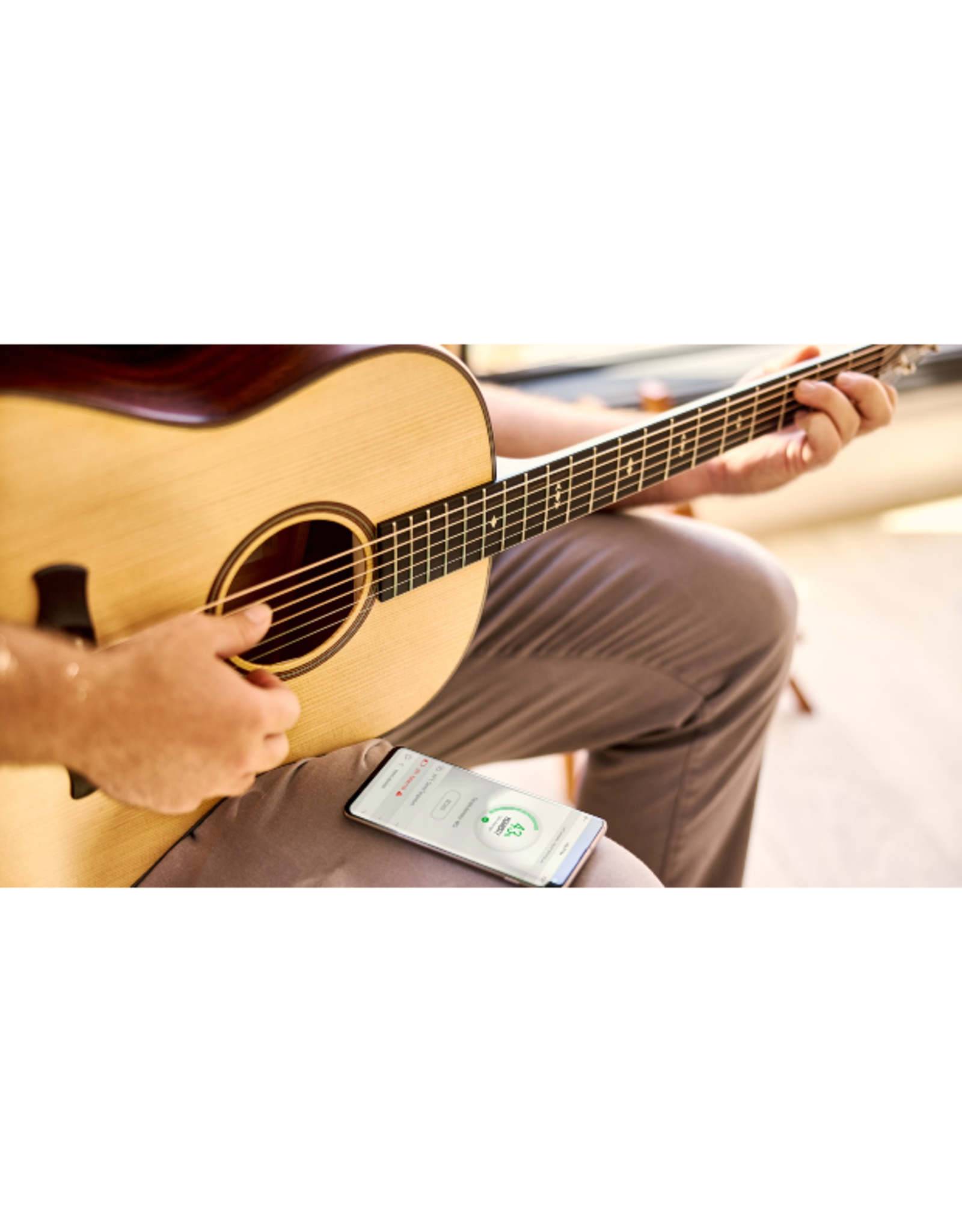 TaylorSense Guitar Health Monitoring System Backwoods Guitar