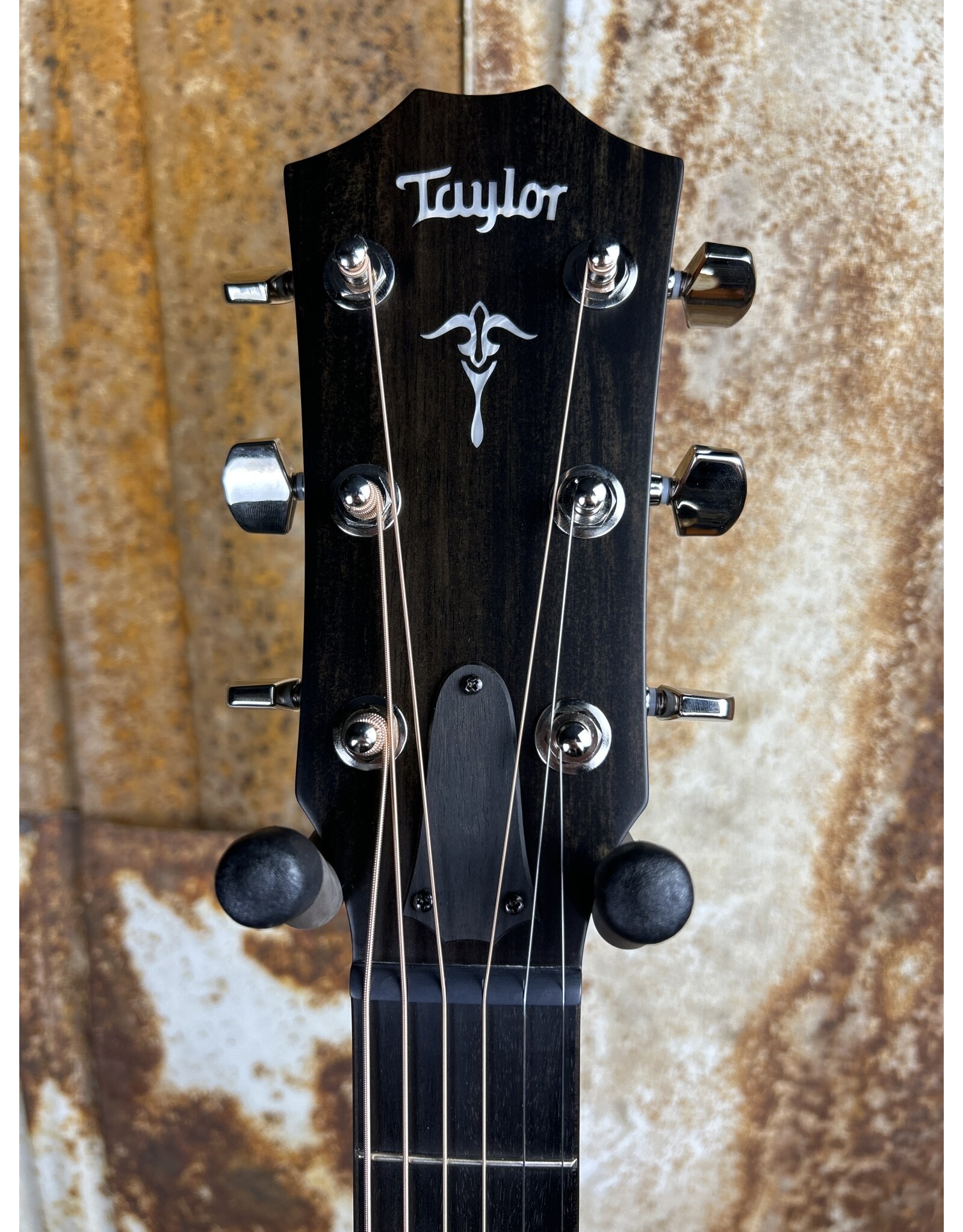 Taylor Guitars Taylor 514ce Grand Auditorium Urban Ironbark Acoustic-Electric