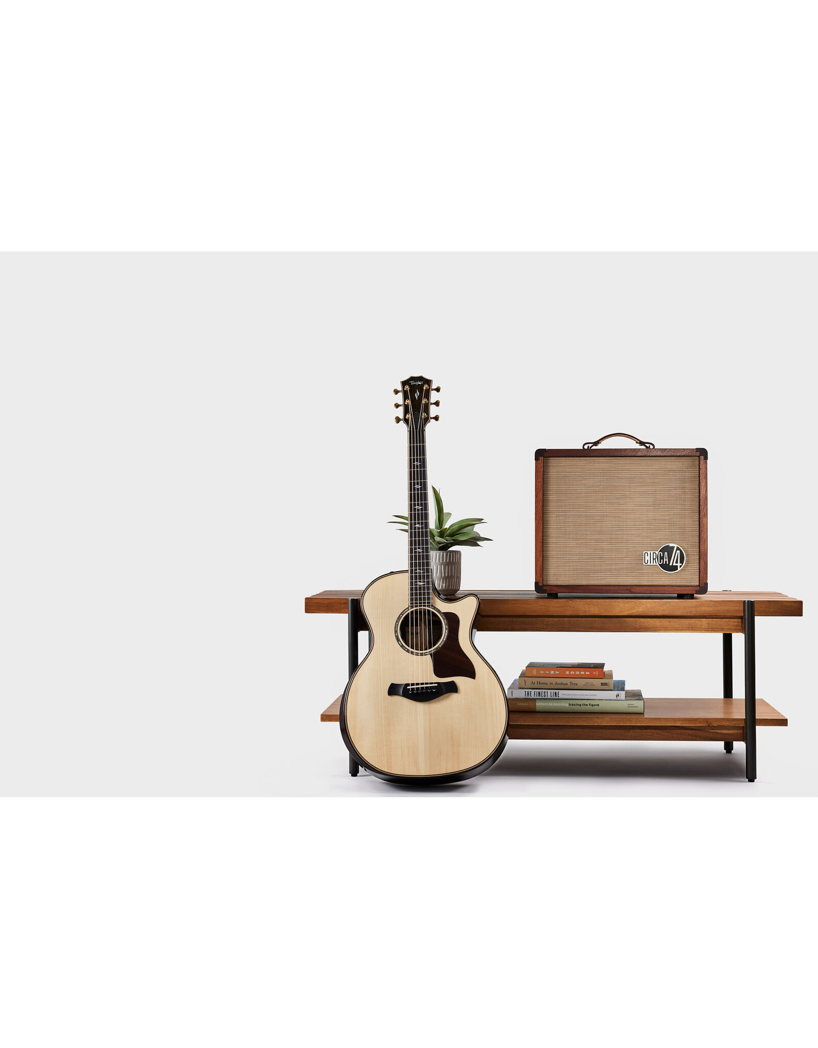 Taylor Circa 74 150watt Acoustic Guitar and Vocal Amplifier