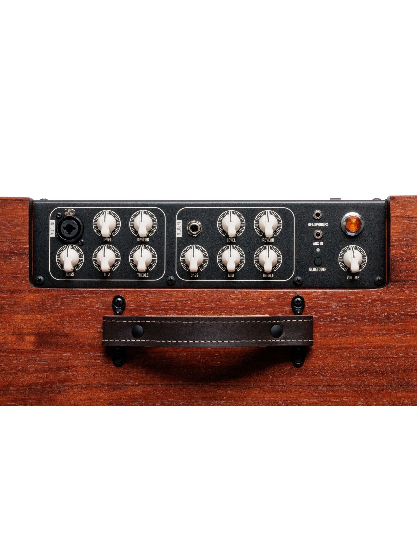 Taylor Circa 74 150watt Acoustic Guitar and Vocal Amplifier