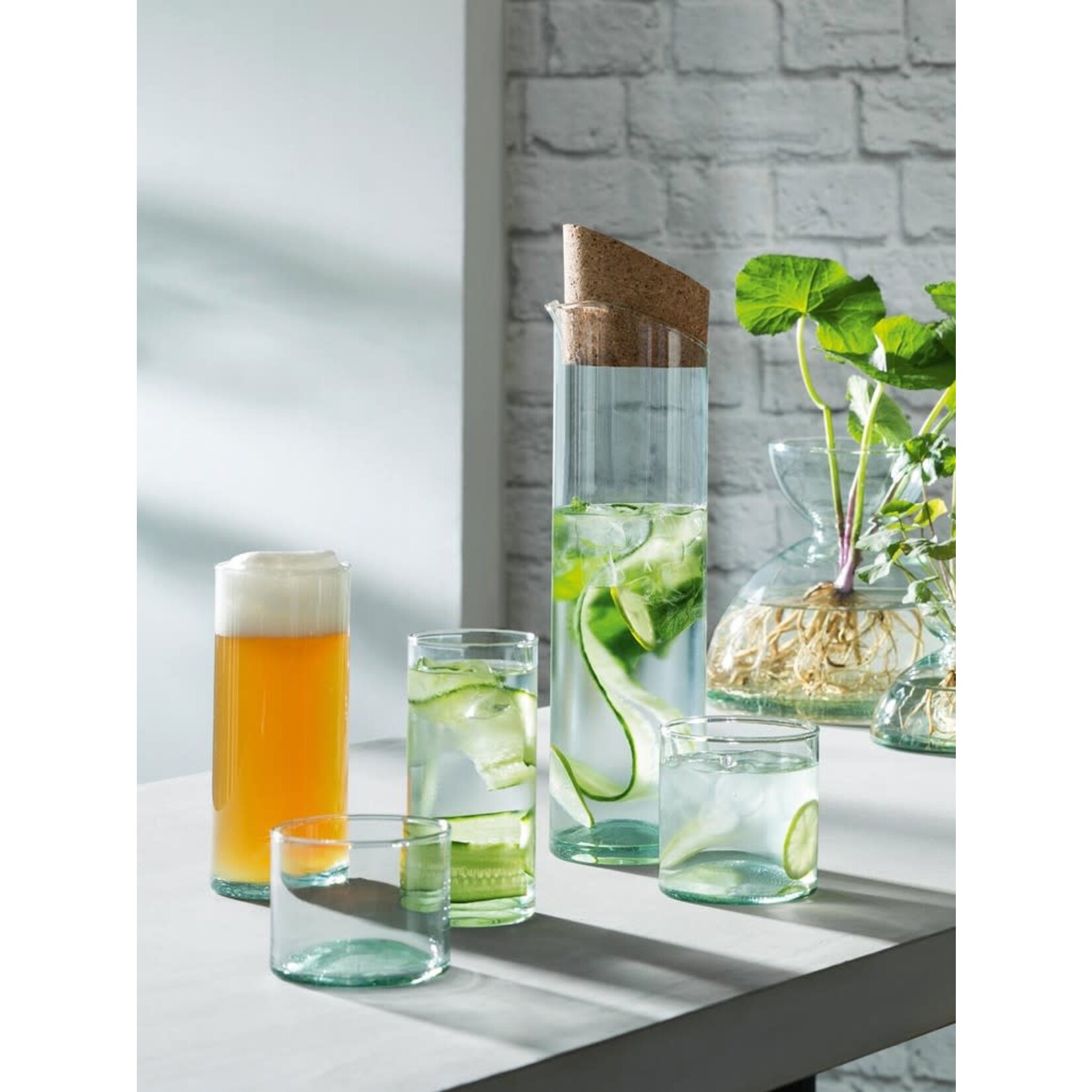 Canopy Beer Glass