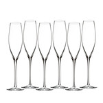 Elegance Champagne Flutes - Set of 6