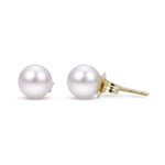 14k Yellow Gold 6mm A Quality Akoya Pearl Studs