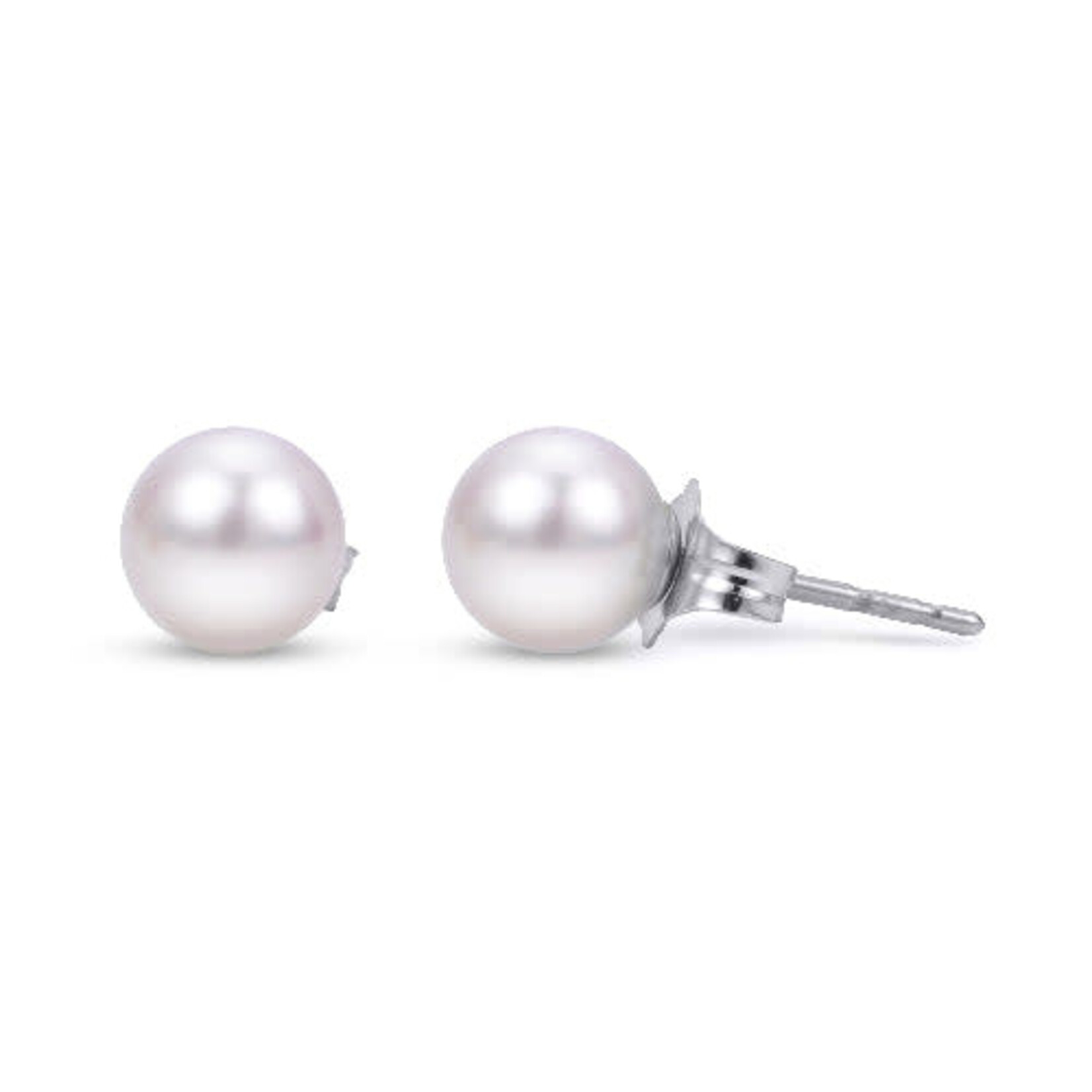 14k White Gold 6mm AA Quality Akoya Pearl Studs