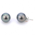 14k White Gold 9mm-10mm Tahitian Pearl Stud