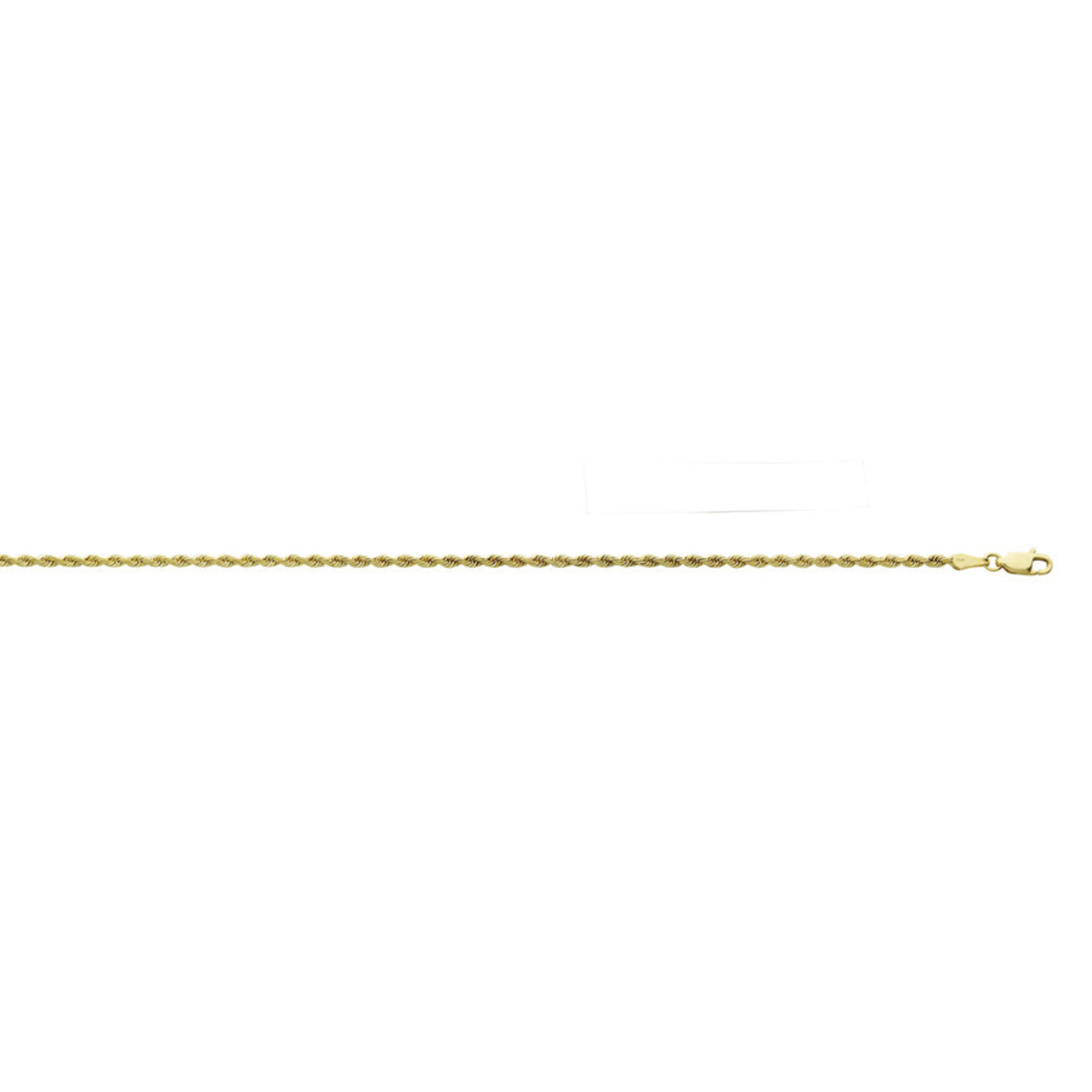 10k Yellow Gold 2.5mm Diamond Cut Rope Chain 22"