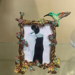 Hummingbird Frame