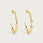Bamboo Single Hoop Earrings