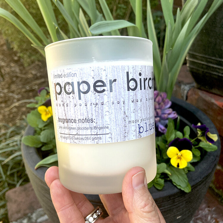 candles wood candle, paper birch, 10oz