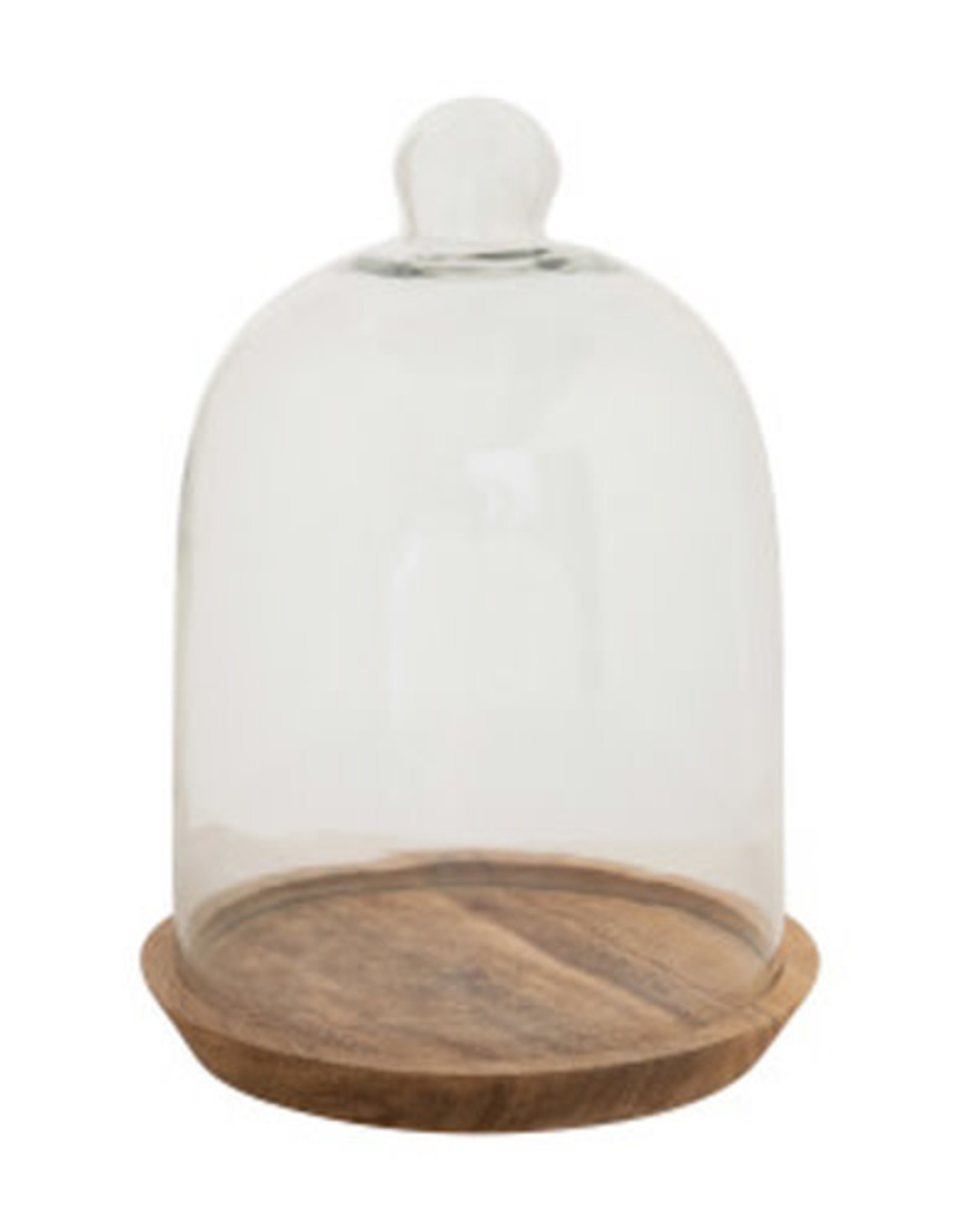 Glass Cloche with Mango Wood Base