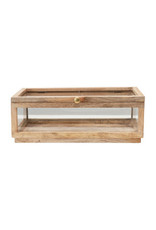 Mango Wood & Glass Display Box