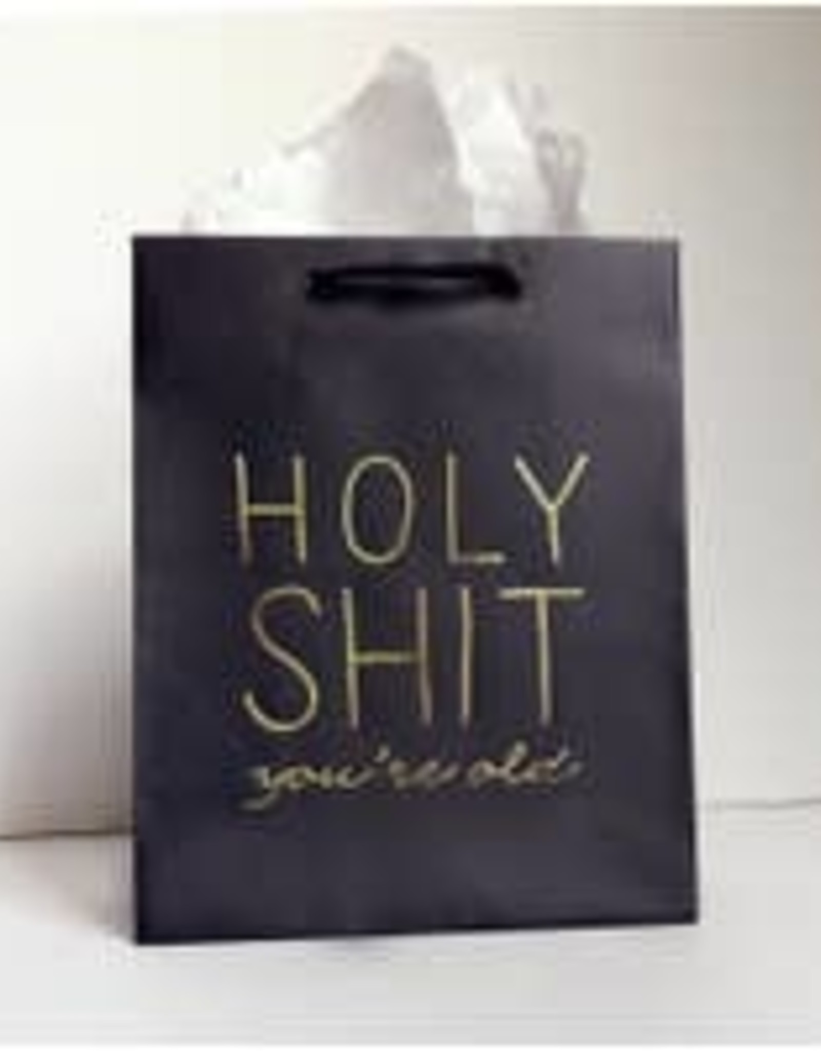 Holy Shit Old Bag
