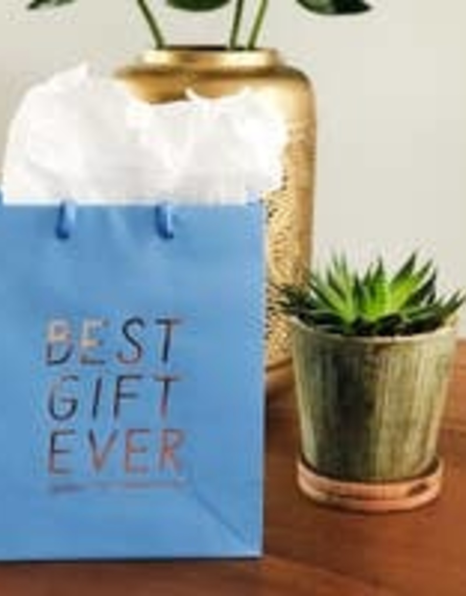 Best Gift Ever Bag