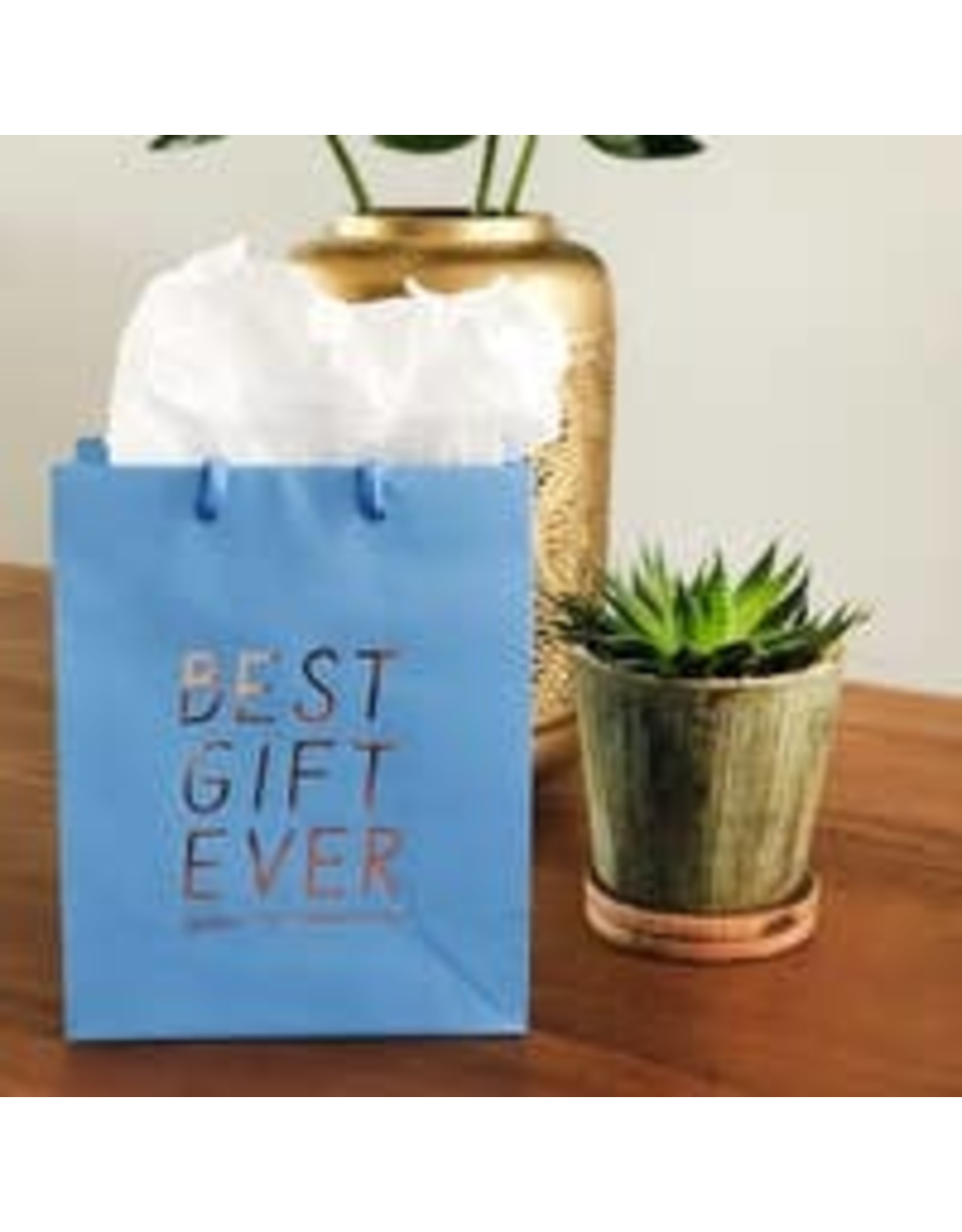 Best Gift Ever Bag
