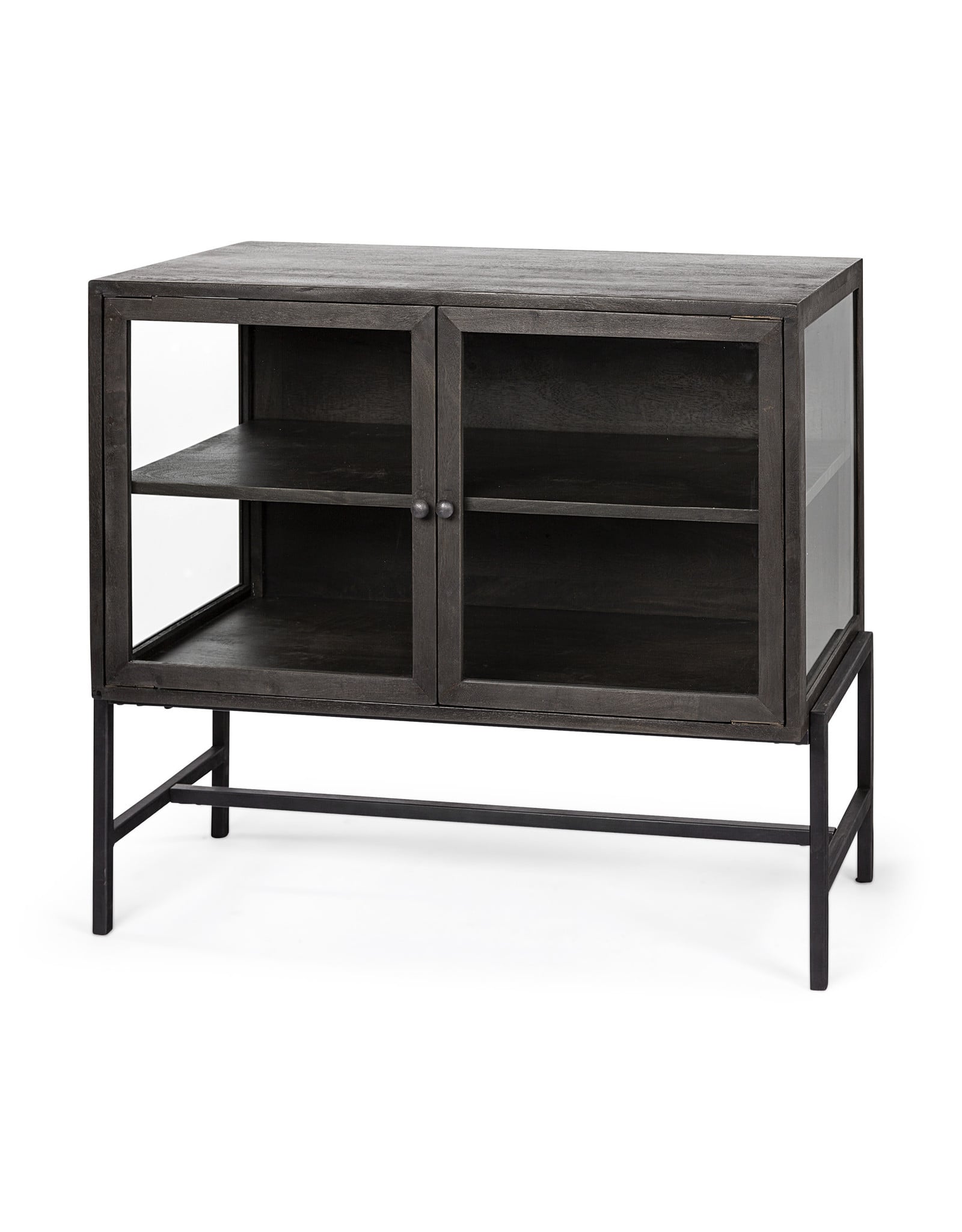 Arelius 2 Door Cabinet in Dark Brown