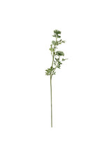 Faux Queen Anne's Pick - 44.5"H