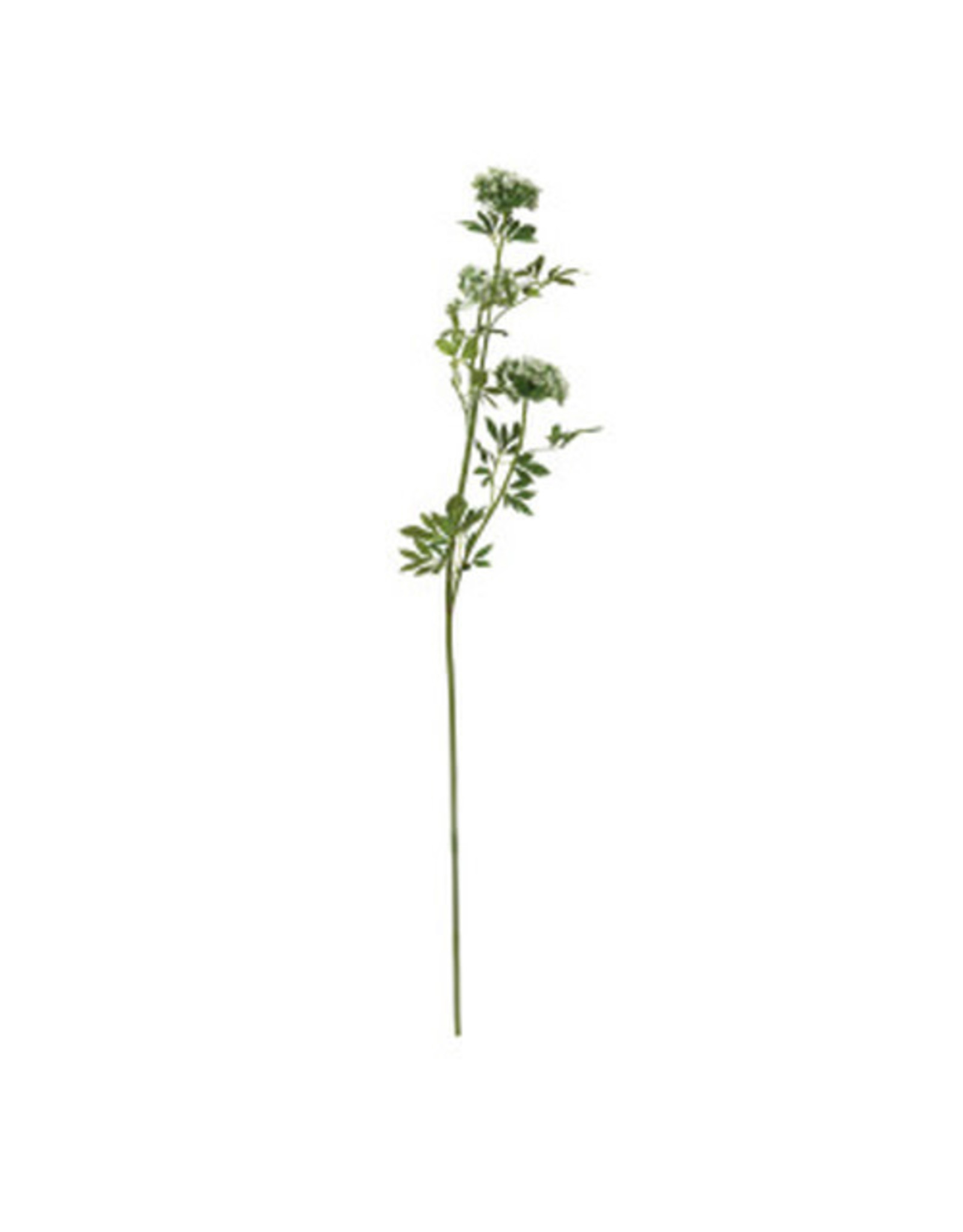 Faux Queen Anne's Pick - 44.5"H