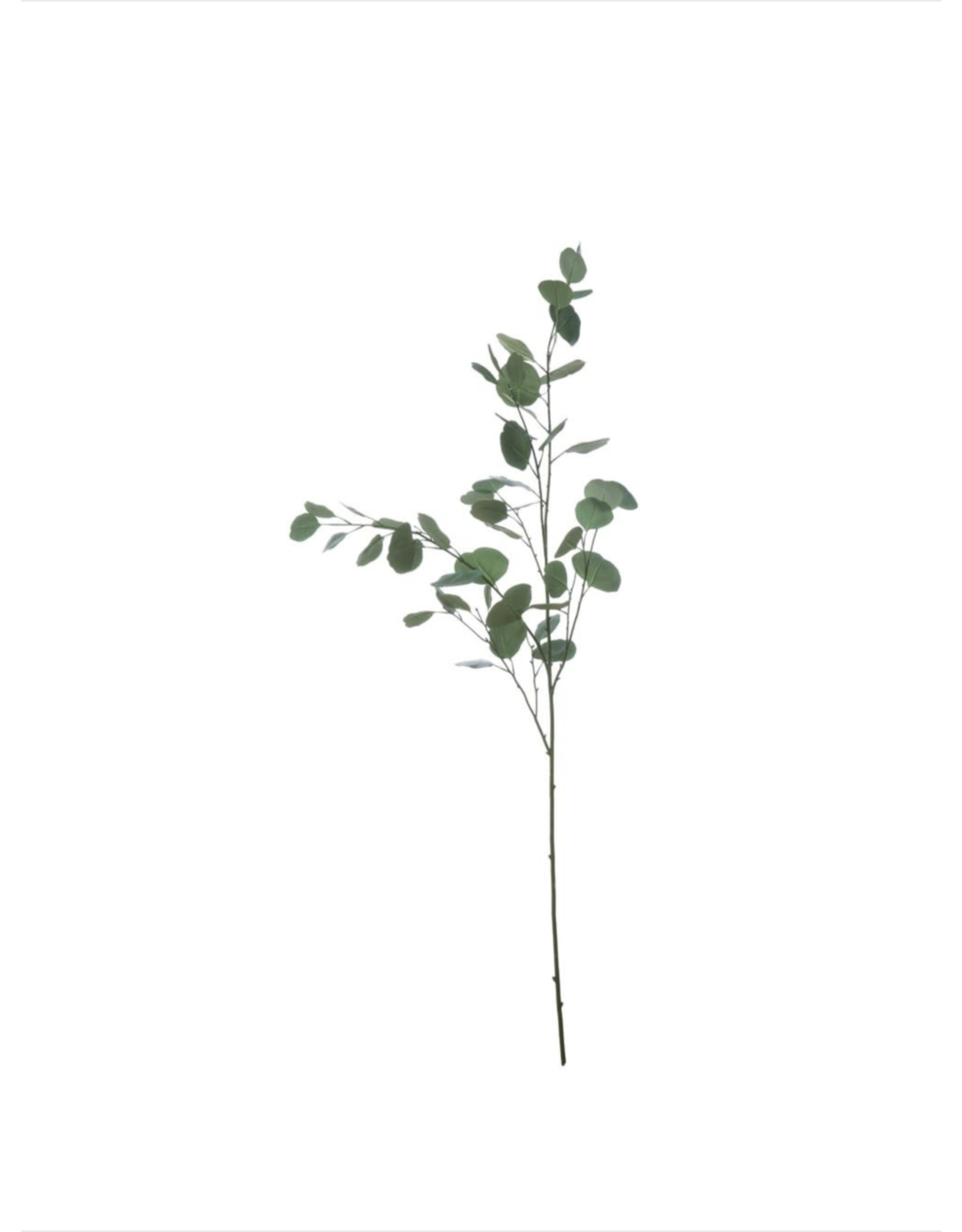 Faux Eucalyptus Branch 54"