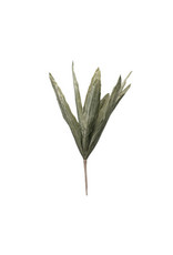 Faux Green Agave Leaf Branch