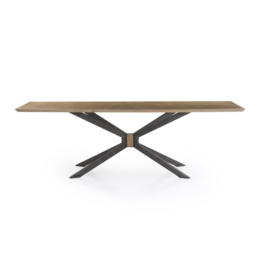 Spider Dining Table in Bright Brass Clad - 94"