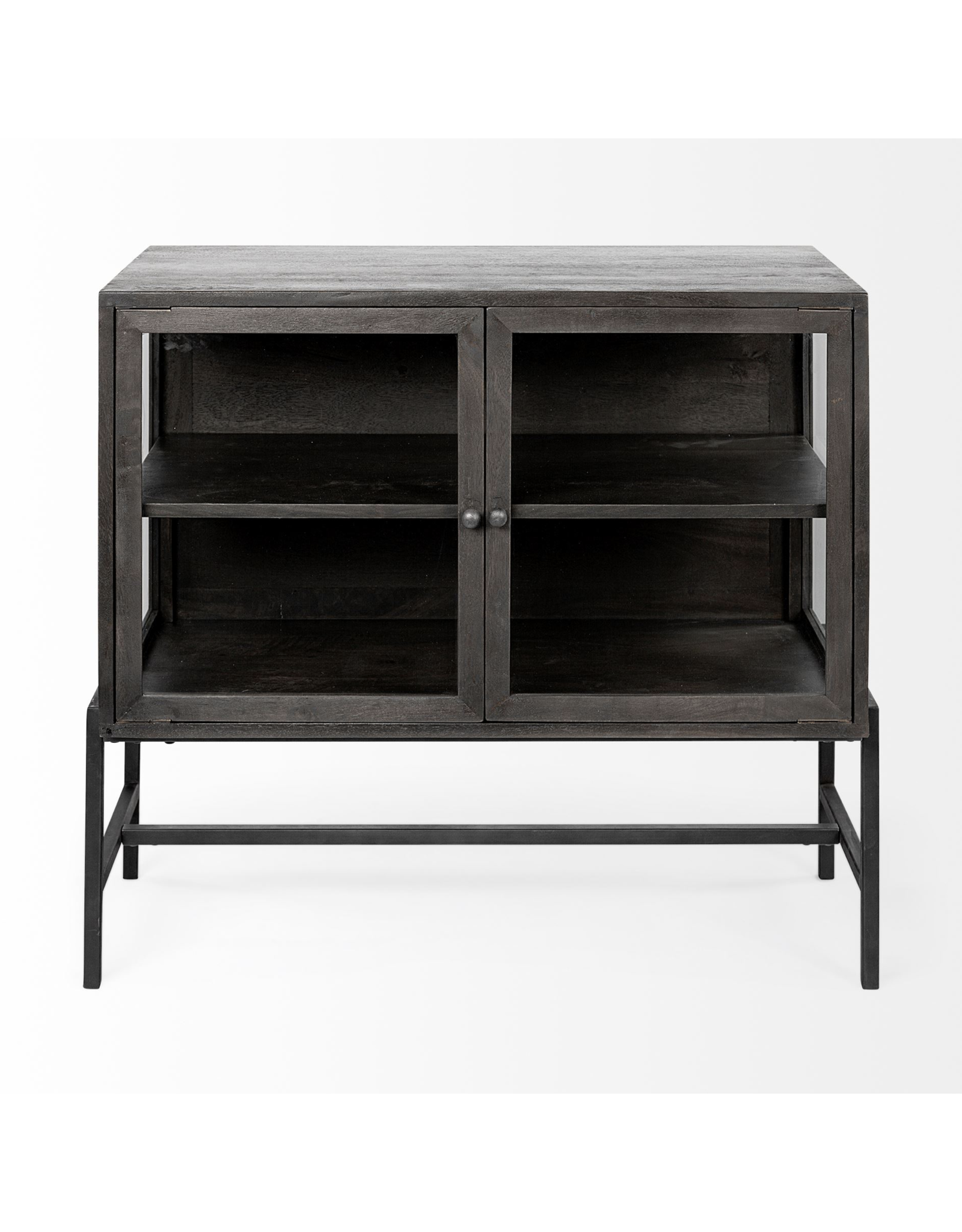 Arelius 2 Door Cabinet in Dark Brown