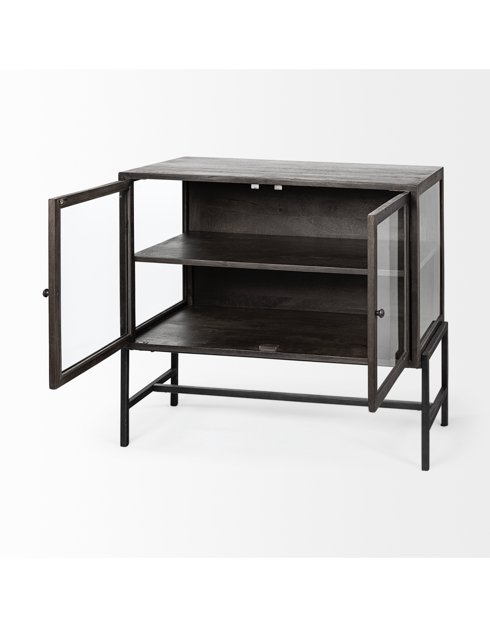 Arelius 2 Door Cabinet in Dark Brown