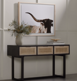 Clarita Console Table in Black Mango