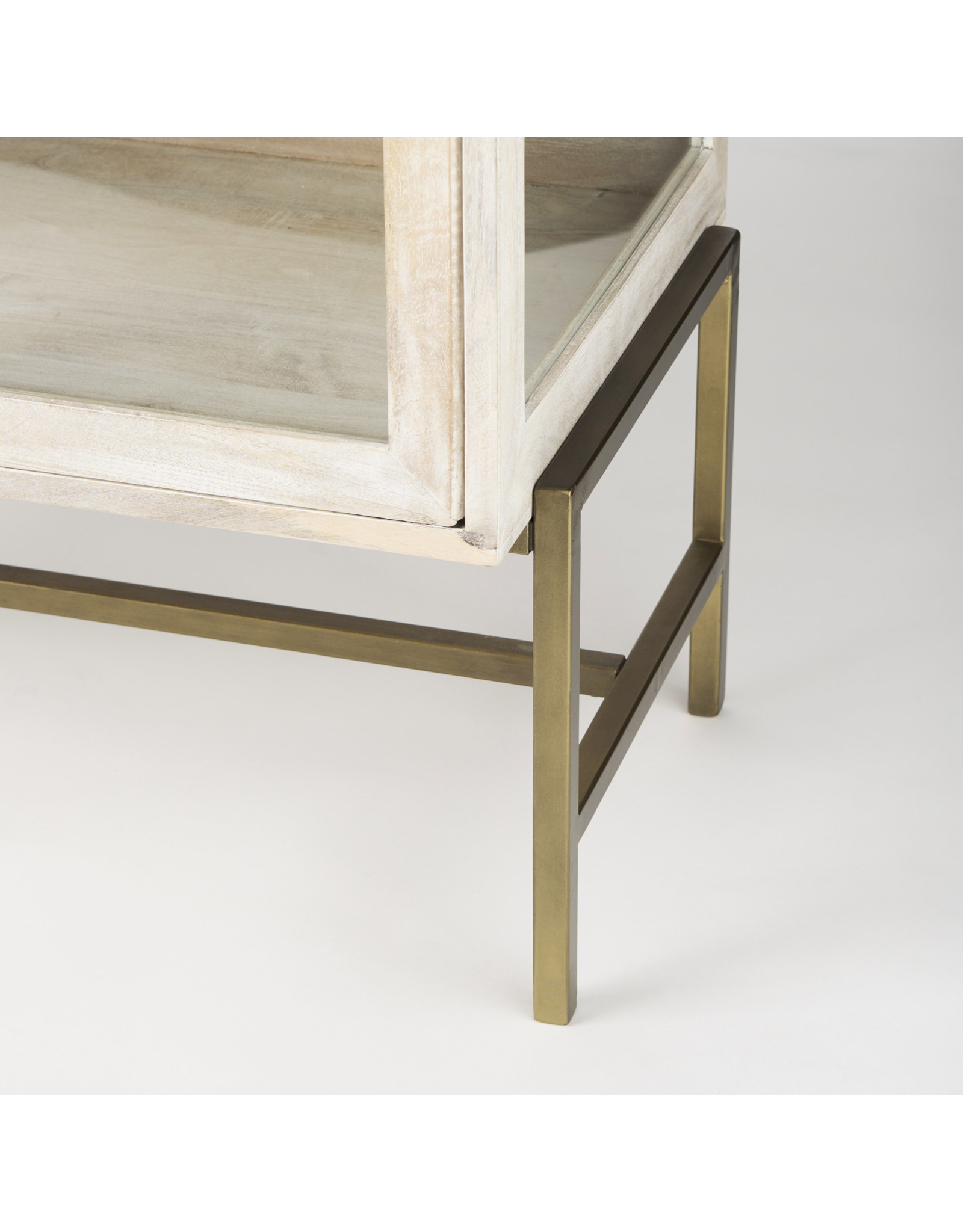 Arelius 2 Door Accent Cabinet in White Wood