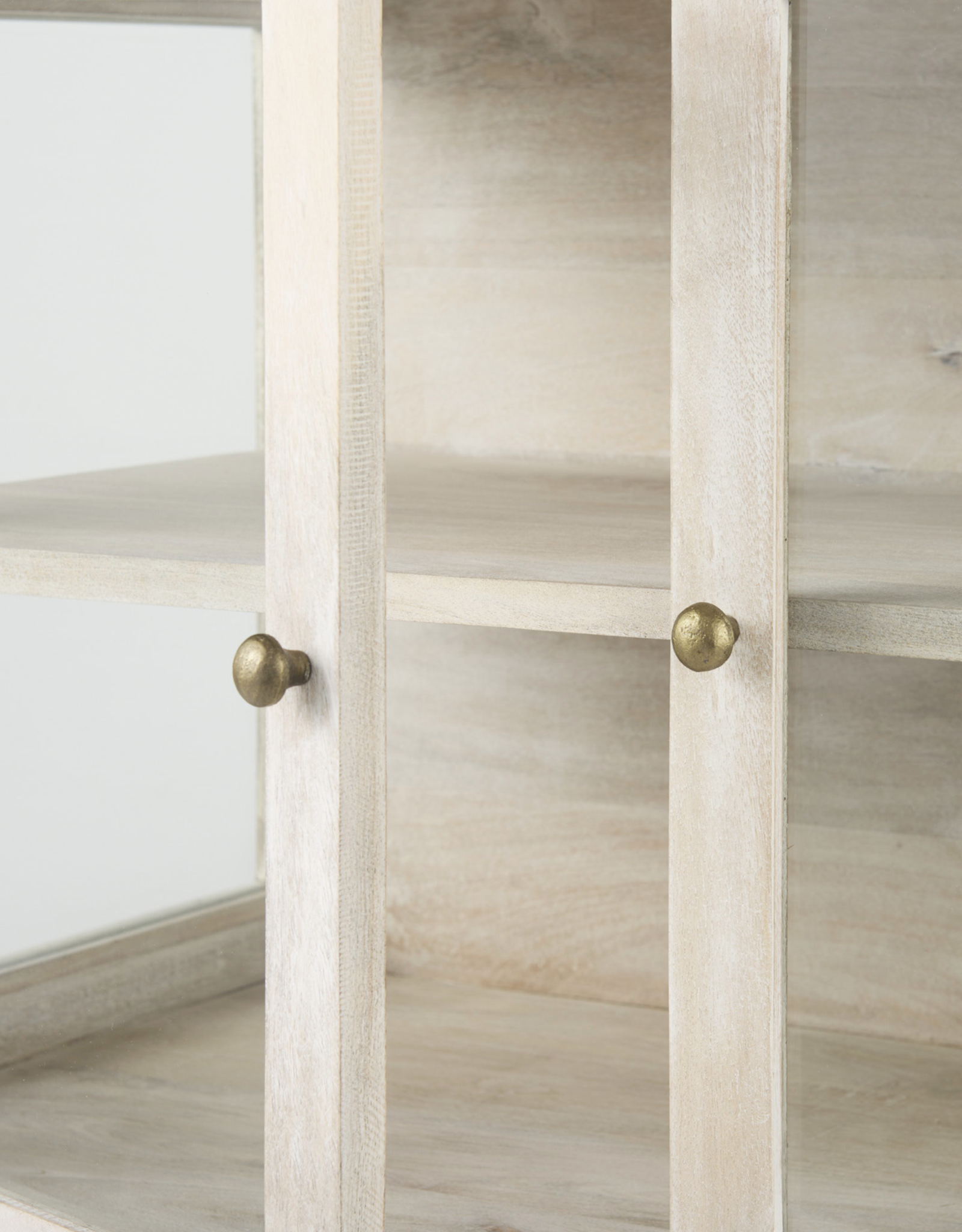 Arelius 2 Door Accent Cabinet in White Wood