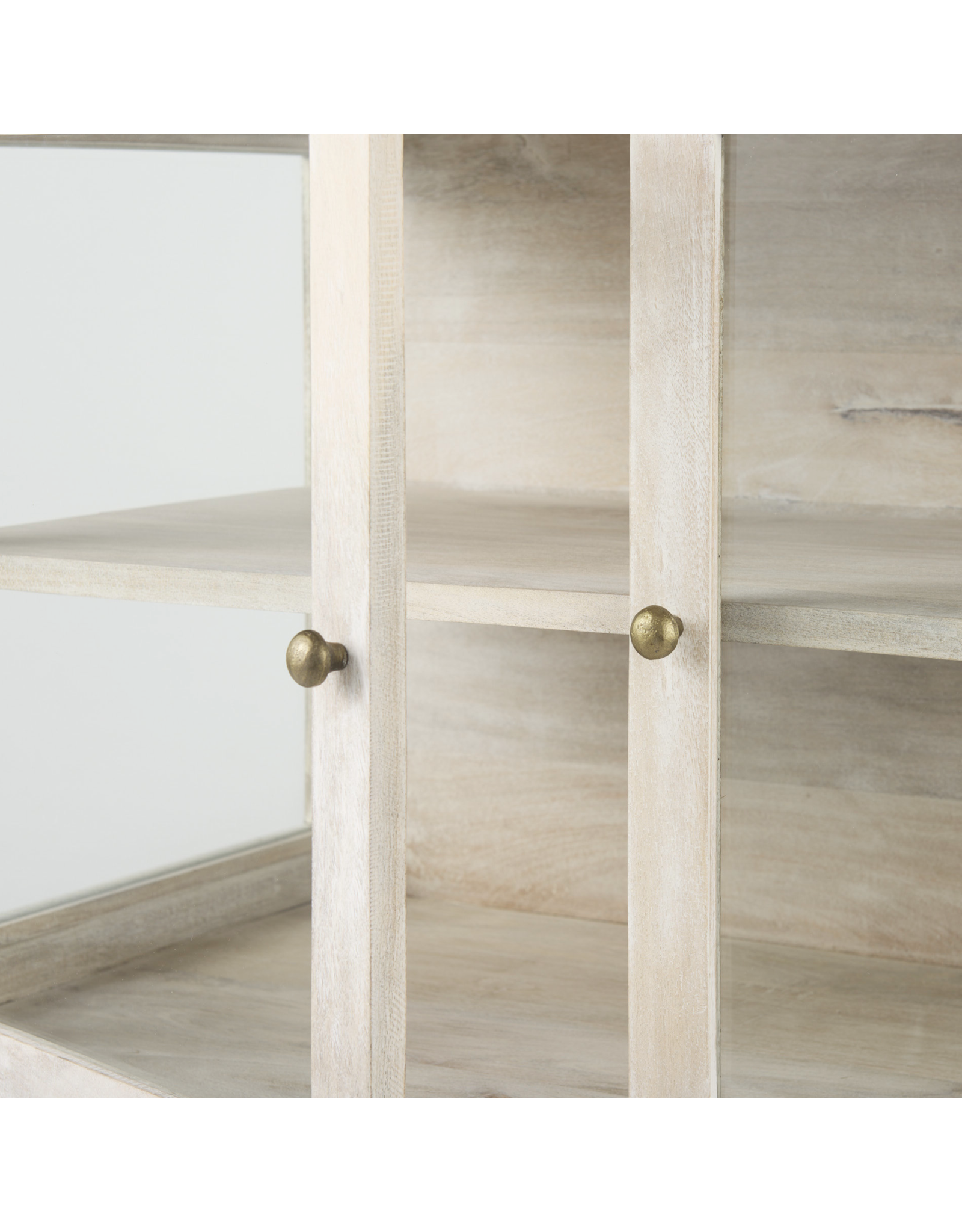 Arelius 2 Door Accent Cabinet in White Wood