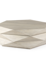 Arreto Hexagonal Storage Coffee Table - White Wood