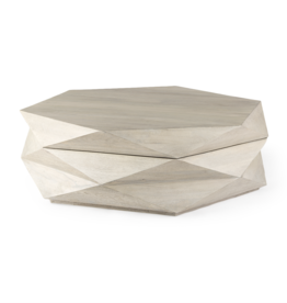 Arreto Hexagonal Storage Coffee Table - White Wood