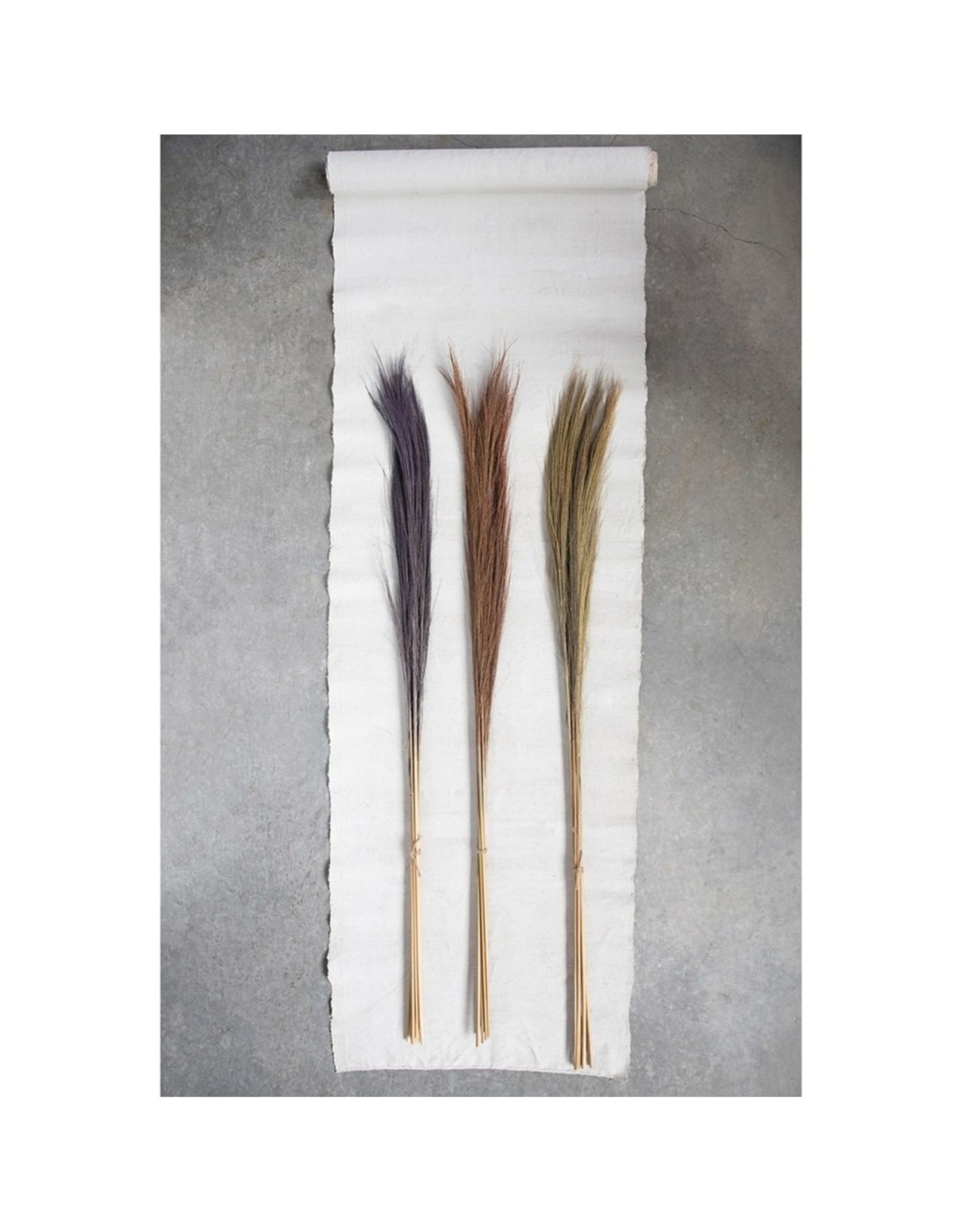 Dried Natural Feather Grass, Various Colours