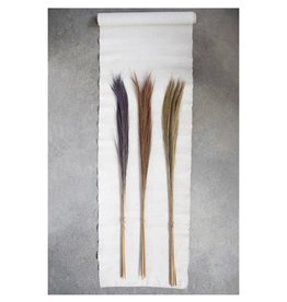 Dried Natural Feather Grass, Various Colours